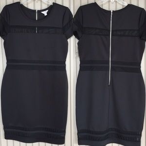 Belle & Sky Mesh Insert Dress
